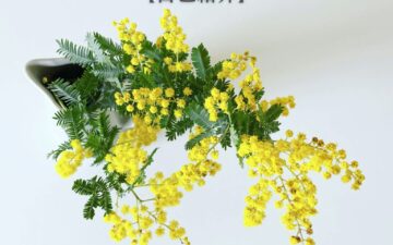 私が自己肯定力を学んだ理由【自己紹介】