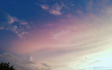 持続化補助金採択おめでとう