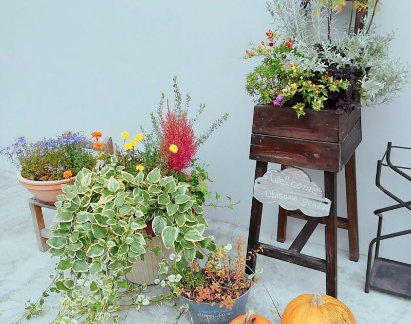 ハロウィンかぼちゃ