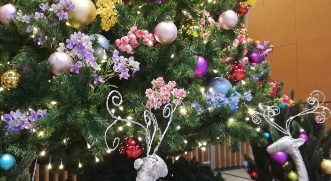 もうすぐクリスマス