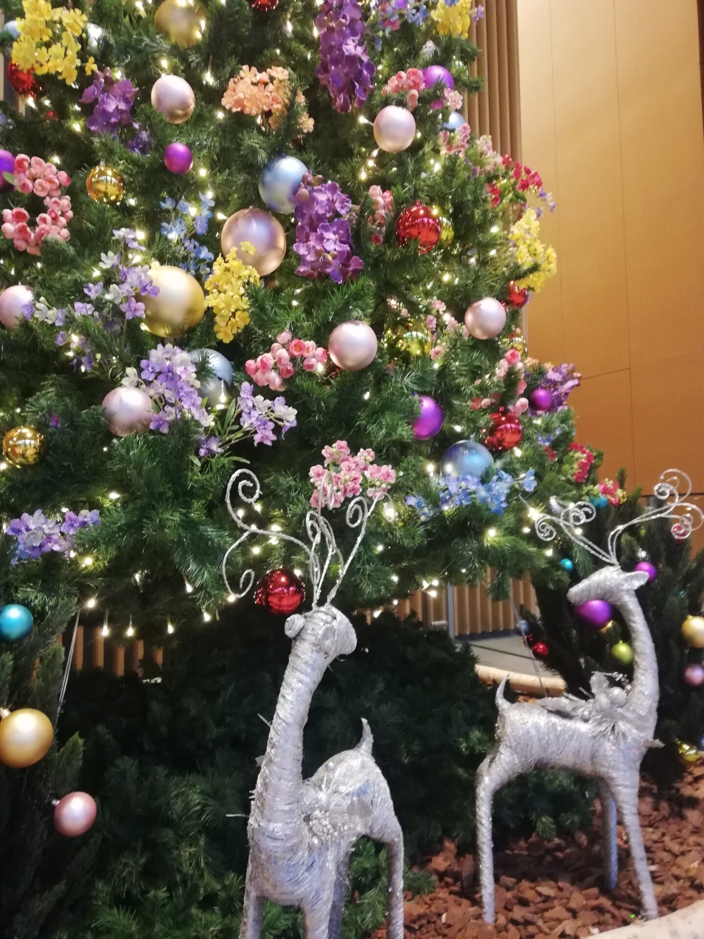 もうすぐクリスマス