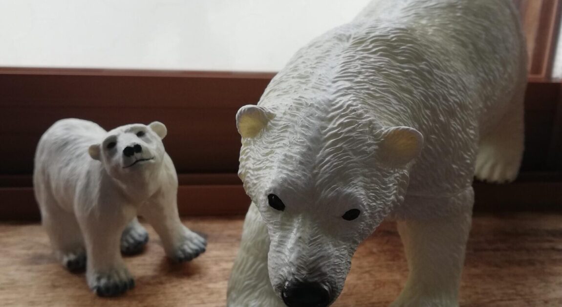 シロクマは寒いところがお好き