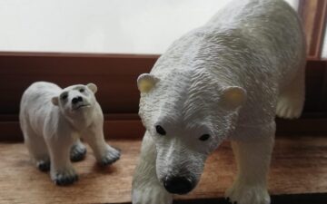 シロクマは寒いところがお好き