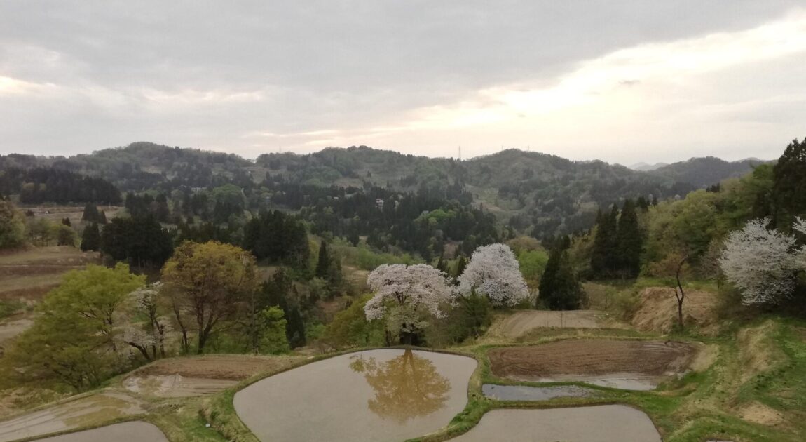 人生をあきらめない