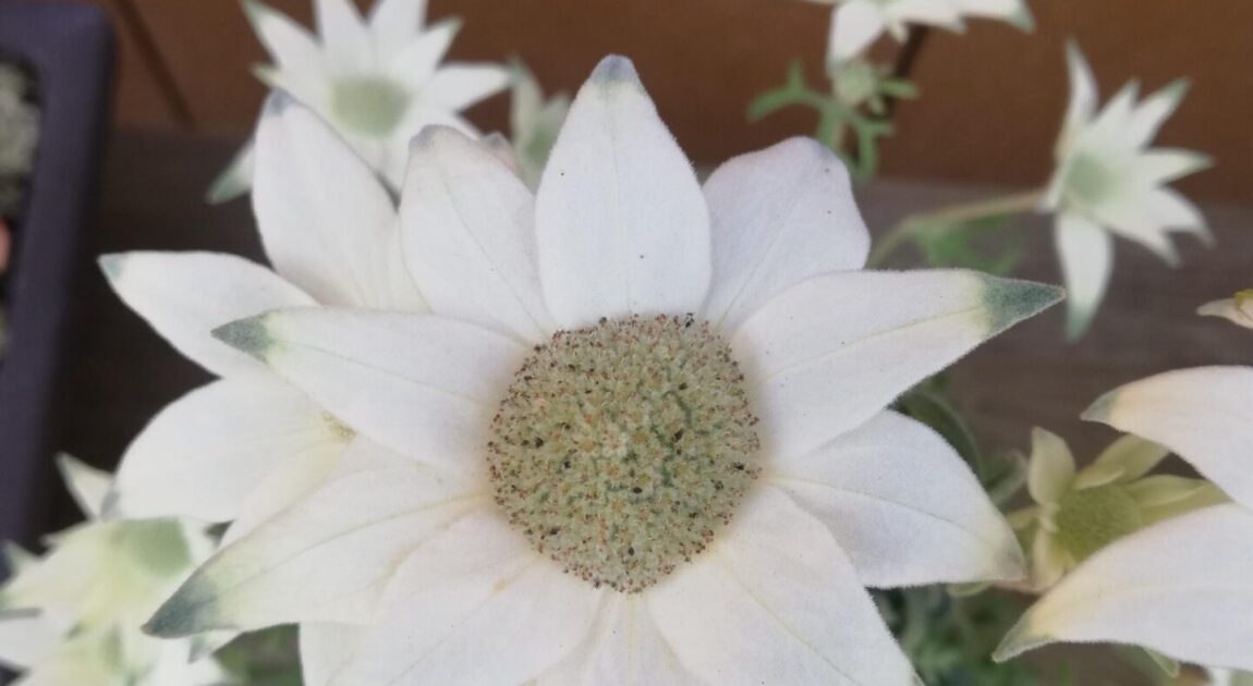 自己肯定力講座スケジュール2024年6月