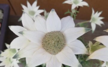 自己肯定力講座スケジュール2024年6月