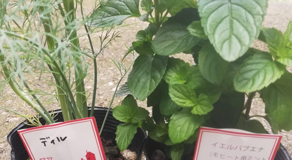 小さな楽しみ 小さな幸せ