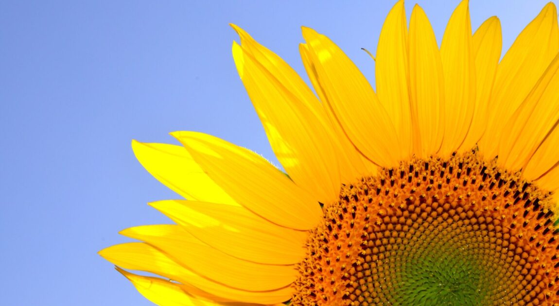 2025年8月【自己肯定感】講座予定