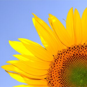 2025年8月【自己肯定感】講座予定