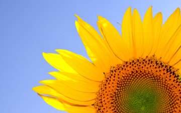 2025年8月【自己肯定感】講座予定