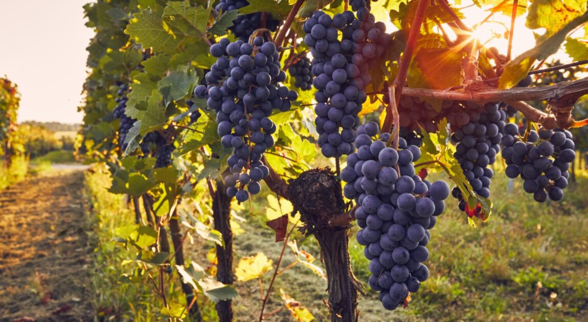 2025年9月自己肯定感講座