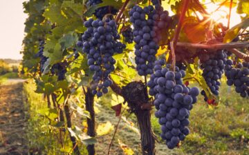 2025年9月自己肯定感講座