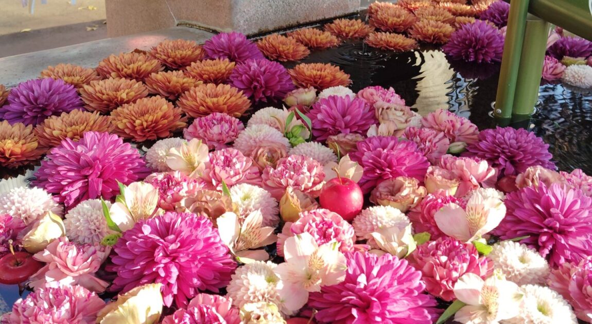 2025年12月【自己肯定感】講座予定