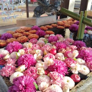 2025年12月【自己肯定感】講座予定