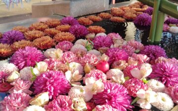 2025年12月【自己肯定感】講座予定