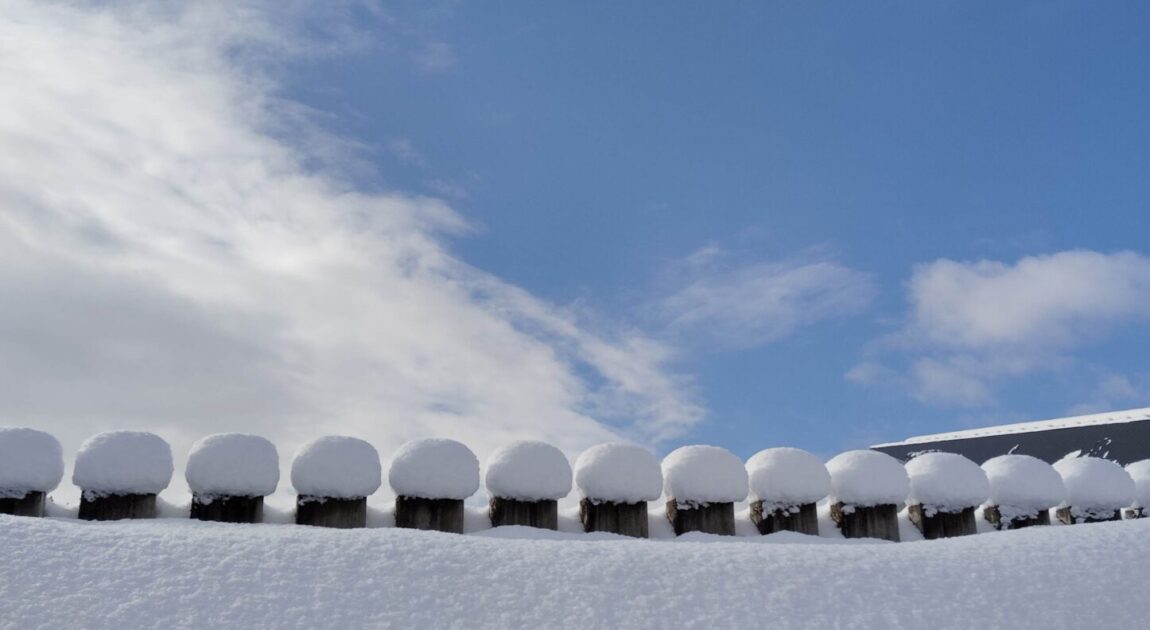 十日町市倫理法人会モーニングセミナー