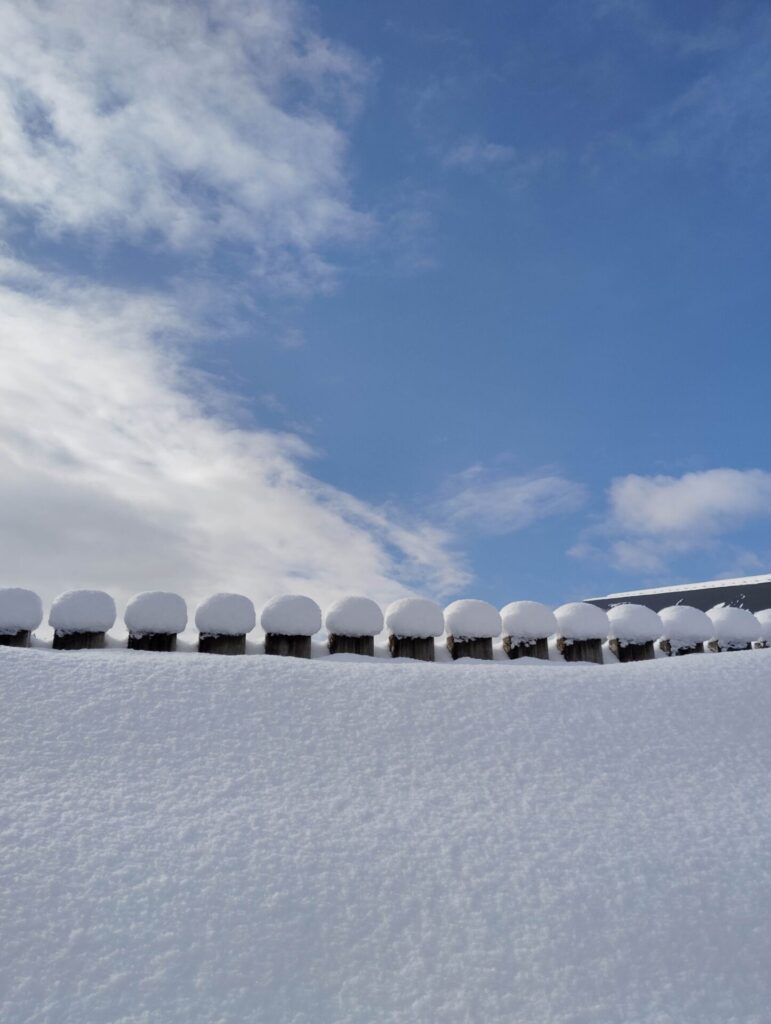 十日町市倫理法人会モーニングセミナー
