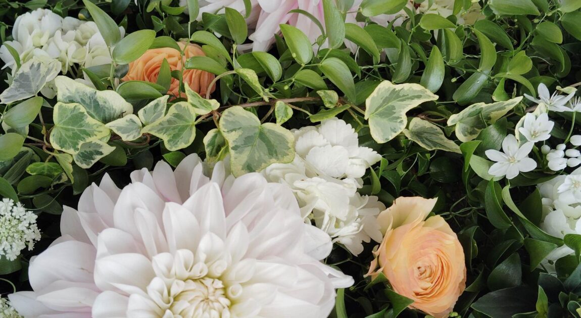 新年度がはじまります