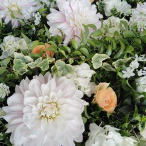 新年度がはじまります