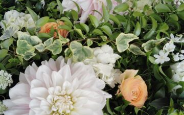 新年度がはじまります