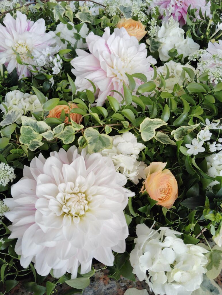 新年度がはじまります