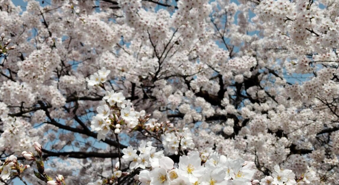 2026年4月～【自己肯定感】講座予定