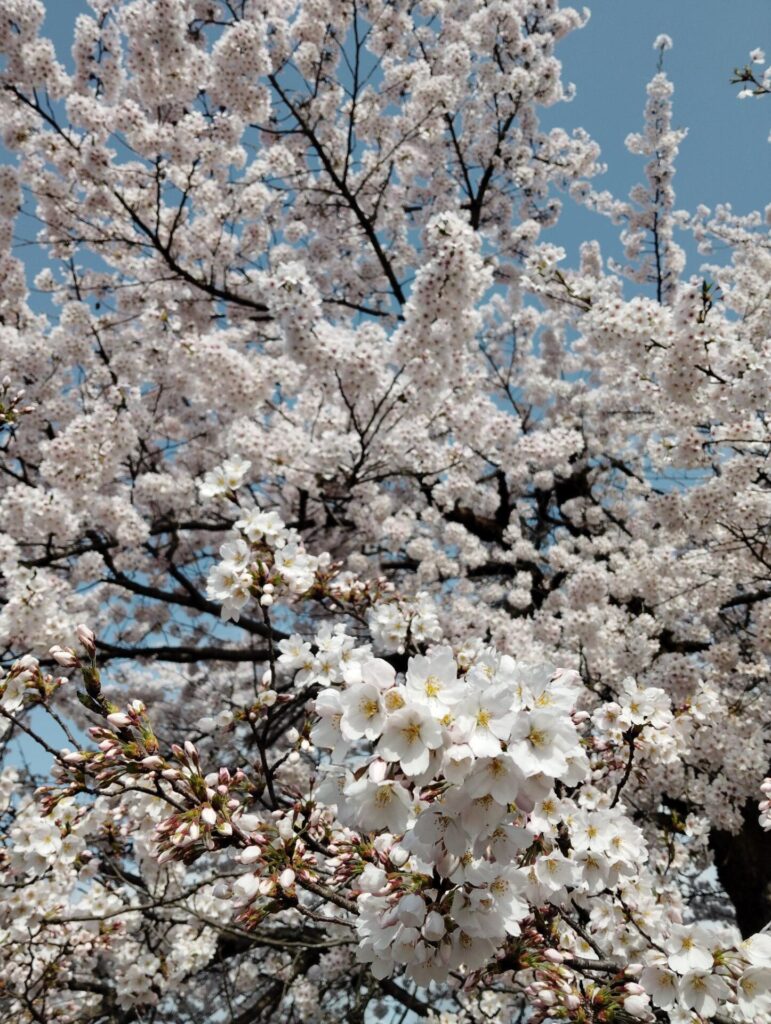 2026年4月～【自己肯定感】講座予定