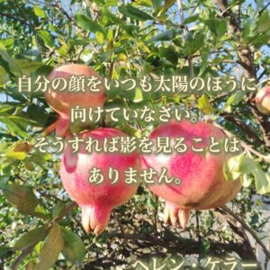 ヘレン・ケラーの名言