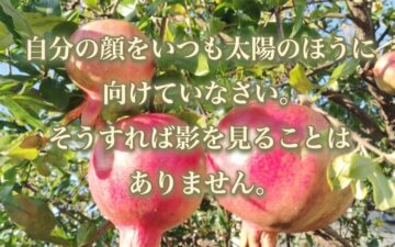 ヘレン・ケラーの名言