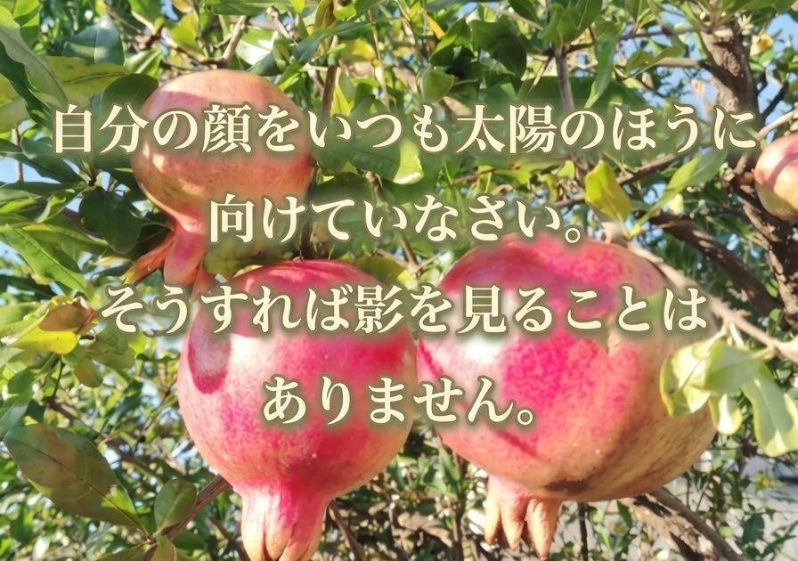 ヘレン・ケラーの名言